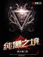 纯黑之境封面