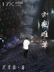 雨夜难单封面