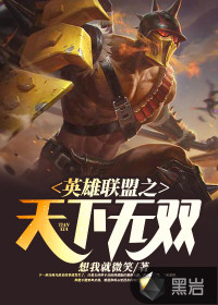英雄联盟之天下无双封面