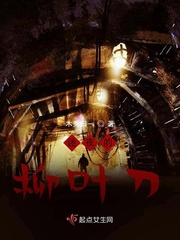 迷夜的柳叶刀封面