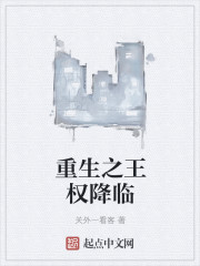 重生之王权降临封面