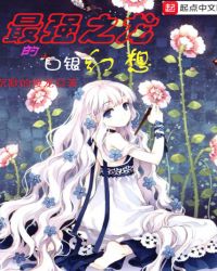 最强之龙的白银幻想封面