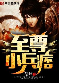 至尊小兵痞封面