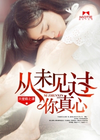 从未见过你真心封面