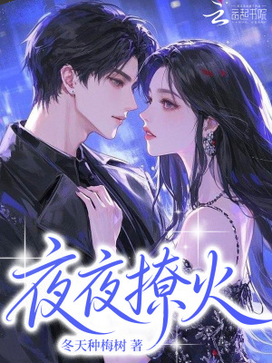 夜夜撩火封面