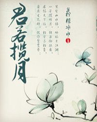 君若揽月封面