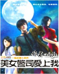 美丽警司爱上我封面