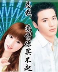 总裁,爱情你买不起封面