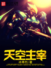 天空主宰封面