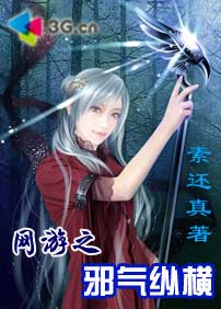 网游之邪气纵横封面