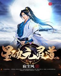 星破元灵道封面