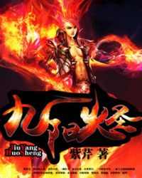 九阳火圣封面