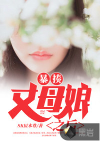 暴揍丈母娘之后封面