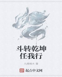 斗转乾坤任我行封面
