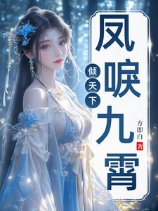 凤唳九霄倾天下封面
