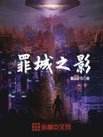 罪城之影封面