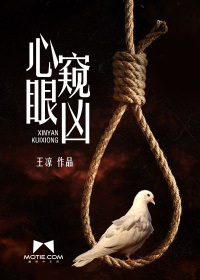 心眼窥凶封面