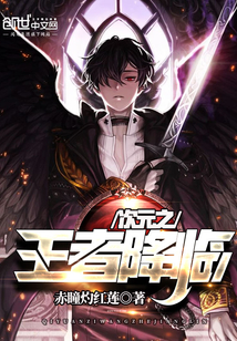 次元之王者降临封面