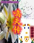 鸣天传封面