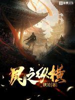 风之纵横封面
