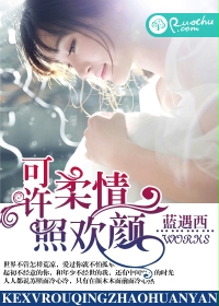 可许柔情照欢颜封面