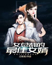 女总裁的最佳女婿封面
