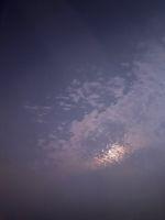 非正式宠物店封面