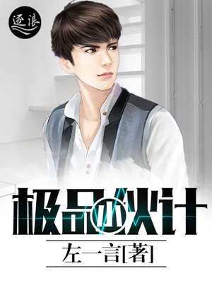 极品小伙计封面