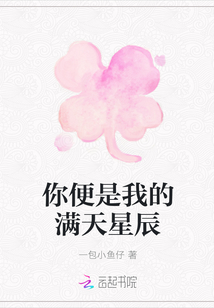 你便是我的满天星辰封面