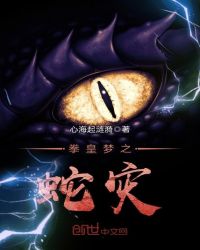 拳皇梦之蛇灾封面