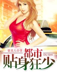 都市贴身狂少封面