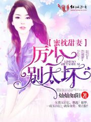 蜜枕甜妻：厉少，别太坏！封面