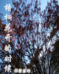 梧桐花开的时候封面