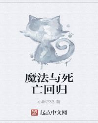 魔法与死亡回归封面