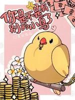你是不是有别的小鸟了封面