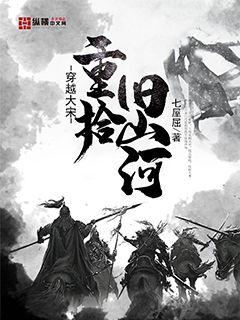 穿越大宋重拾旧山河封面