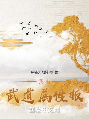 我有武道属性板封面