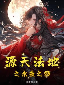源天法地之永夜之殇封面
