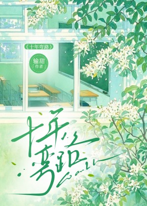 十年弯路封面