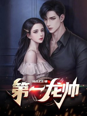 第一龙帅封面