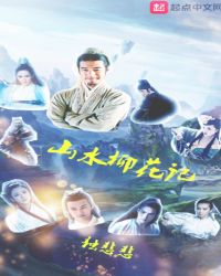 山水柳花记封面