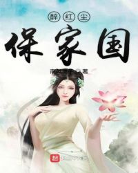醉红尘保家国封面