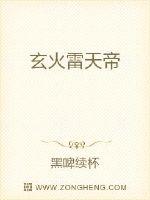 玄火雷天帝封面