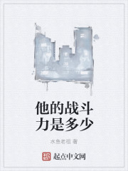 他的战斗力是多少封面