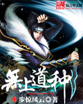无上道种封面