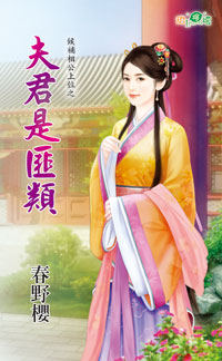 夫君是匪类封面