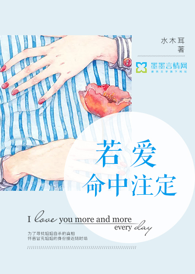 若爱命中注定封面