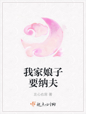 我家娘子要纳夫封面