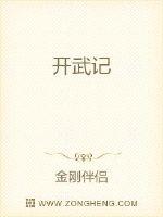 开武记封面