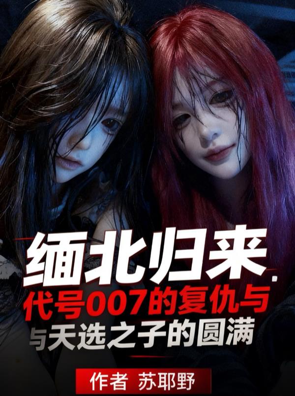 缅北归来代号007的复仇与天选封面